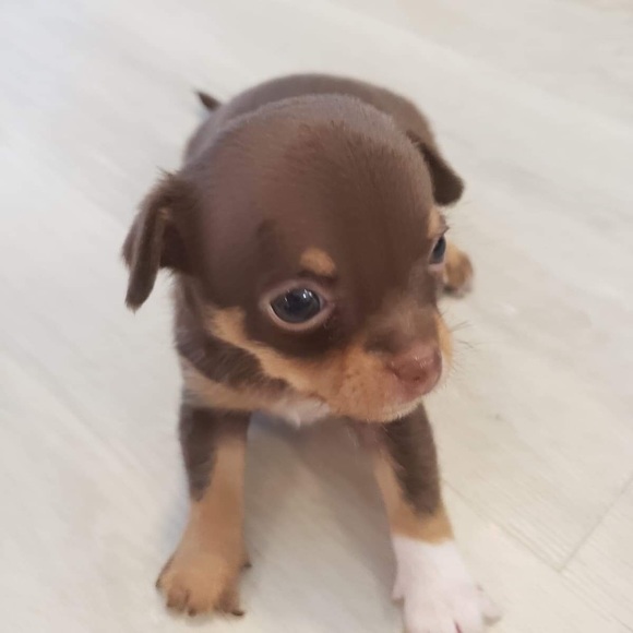 Meet your Posher, Nadia - Picture 1 of 1